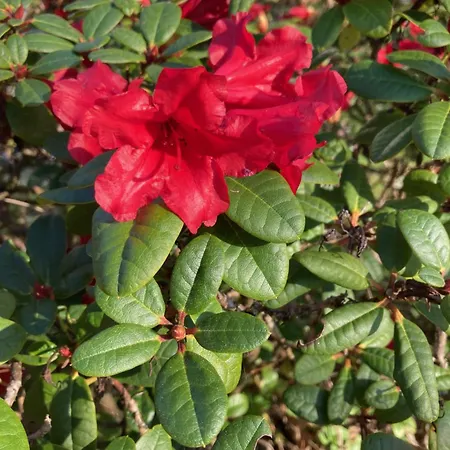 Im Alten Antonia Lägenhet