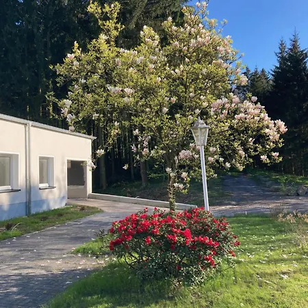 Im Alten Antonia Eslohe