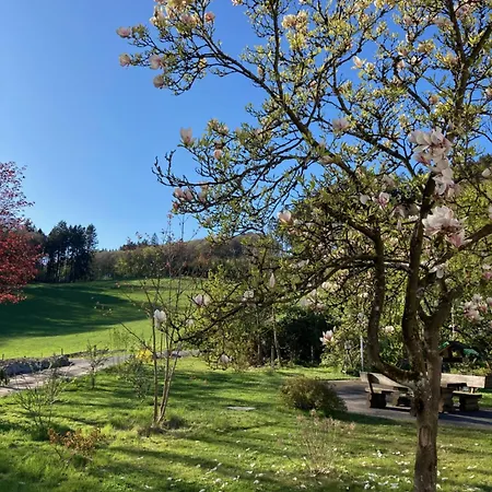 Lägenhet Im Alten Antonia