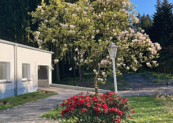 Im Alten Antonia 埃斯洛黑