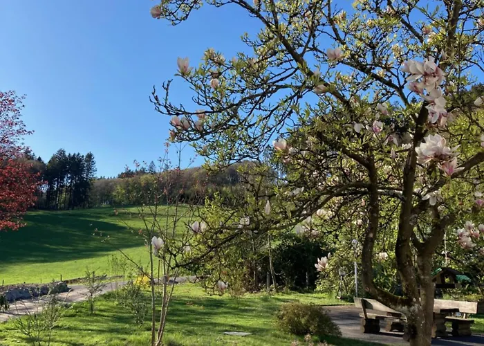 公寓 Im Alten Antonia