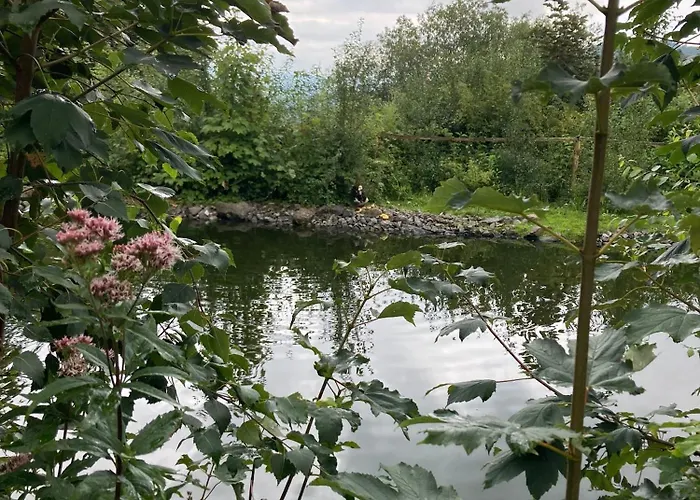 Im Alten Antonia 公寓 埃斯洛黑